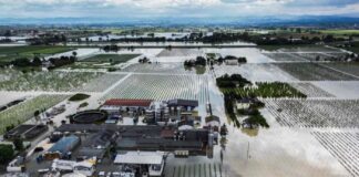 Përmbytjet në Itali/ Shkatërrohen të korrat dhe mbyten bagëtitë në një nga qendrat