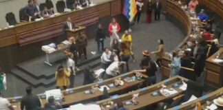 Shqelma e grushte në parlament, ligjvënësit bolivianë rrihen burra e gra për një pankartë!