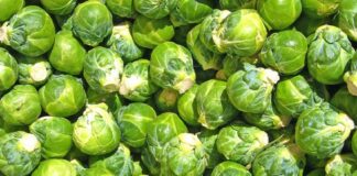 Cilat janë perimet më të mira për diabetikët