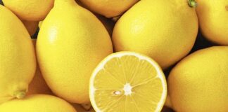 Vitaminat që çdo grua duhet të marrë çdo ditë