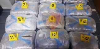 12 pako me kanabis gati për shitje, kapet 28-vjeçari