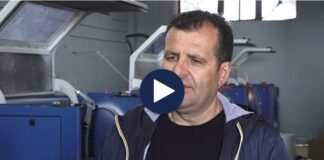 Punëtorët e spangos për bujqësi/ Kërkesa të mëdha, por jo mjaftueshëm krah pune