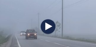 Mjegull e dendur në aksin Korçë – Pogradec, mjetet lëvizin me shpejtësi të ulët për të shmangur aksidentet