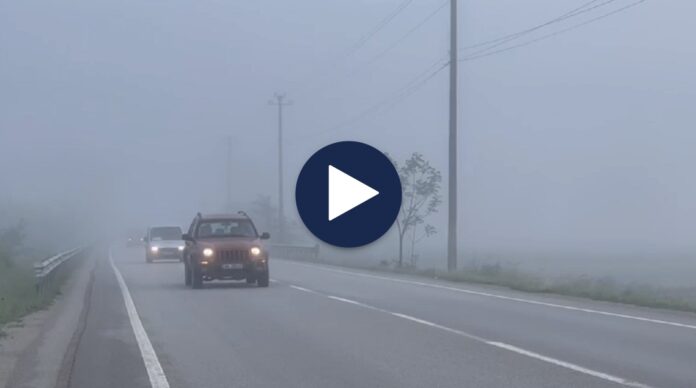 Screenshot_20230526_112452_Chrome