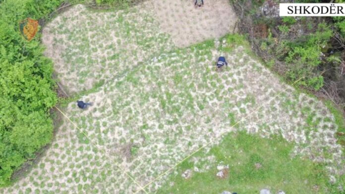 Untitled-design-2023-05-26T104700.106