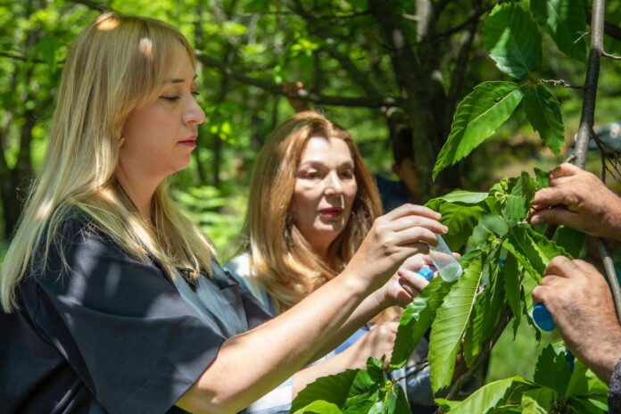 WhatsApp-Image-2023-05-30-at-10.31.46-AM