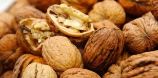 Gjashtë ushqimet që mbështesin rigjenerimin e qelizave