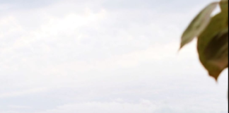 Agroturizëm “Gjepali”, tjetër sipërmarrje e suksesshme mbështetur nga AZHBR