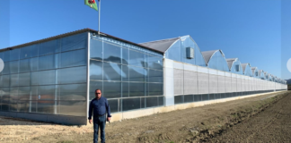 Mbështetja nga IPARD, serra e prodhimit të fidanëve frutorë furnizon tregun vendas dhe të rajonit