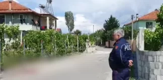 Vrasja në Elbasan, i arrestuari në Polici: Kunata më fyeu, më tha kollovar!