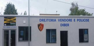 Makina rrëshqet dhe bie në oborrin e shtëpisë/ Ndërron jetë qytetari, në pranga pronari i mjetit