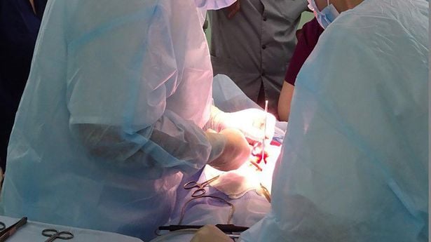 0_PAY-hair-clump_2_east2west-news