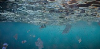 Plastika “pushton”Mesdheun! Po hidhen 570 mijë tonelata në vit