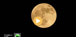 “Hëna luleshtrydhe” e qershorit, trupi qiellor i afrohet tokës