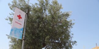 Rama: Hapen në 15 qershor 30 qendra shëndetësore verore