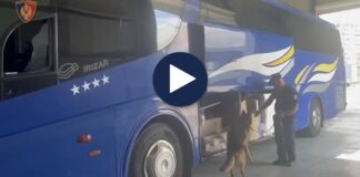 Fshehu gati 100 mijë euro në autobusin e linjës Bari-Durrës, arrestohet shoferi 37-vjeçar