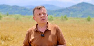 Prodhimi i grurit, Balla apel kompanive shqiptare: Fokusohuni tek blerja e grurit vendas