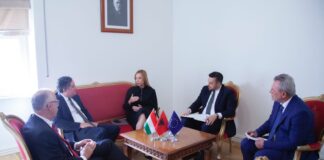 Krifca me ministrin hungarez, Nagy: Bashkëpunim për eksportin e vajit të ullirit