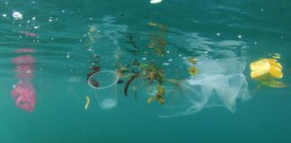 IA do të ndihmojë në zbulimin e mbetjeve plastike në oqeane