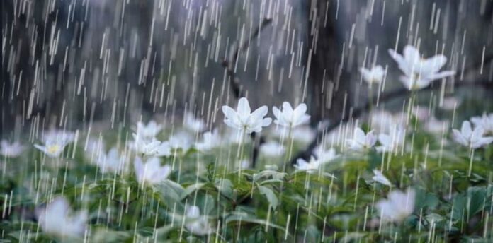 shiu-36j0naynewf2lpyqjkoxkw