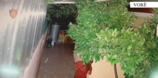 La tritolin në një banesë dhe njoftoi policinë për t’ia “ngecur” pronarit, arrestohet 44-vjeçari
