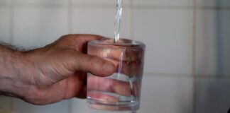 Dieta, alkooli dhe uji: këshilla ‘për shpëtimin veshkave’ në verë