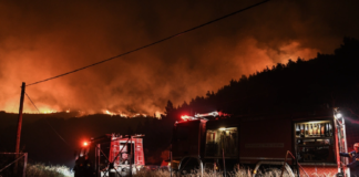 Greqia shpall emergjencën/ Ngrihet ekipi i menaxhimit të krizave!