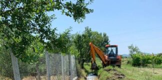 Elbasan, pastrim kanaleve kullues dhe vaditës, nxitje prodhimit bujqësor