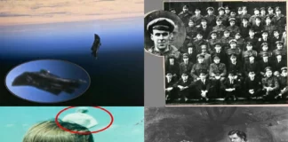 Zonja e Bardhë”, e mbijetuara e 11 shtatorit apo foshnja fantazmë/ Fotot më misterioze të të gjitha kohërave