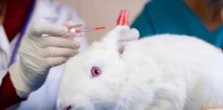 Kanadaja ndalon zyrtarisht testimin e produkteve kozmetike tek kafshët