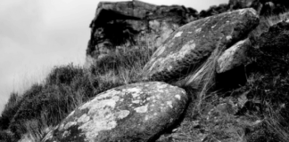 Studiuesi italian: UFO-ja e parë u rrëzua në Itali në vitin 1933, kam prova