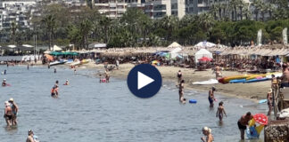 Vlonjatët “shfrytëzojnë” detin për të shmangur të nxehtin