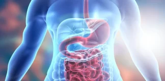 Cili është fruti më i mirë për shëndetin e aparatit tretës