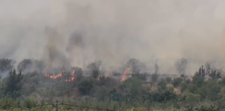 Zjarri i Peshtanit përhapet në fshatin Kraps, disa shtëpi janë pushtuar nga flaka