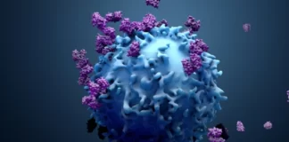 Zbulohet ilaçi i ri i kancerit! Ofron shpresë për miliona njerëz