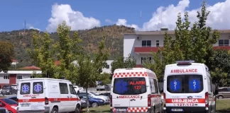 Insektet në “revansh”! Shtohen rastet e pickimeve nga merimangat dhe bletët