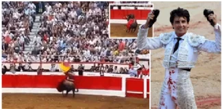 Video/ ‘Mjeshtri i Matadorve’ shpohet brutalisht nga demi 600kg pasi e përplas në barriera