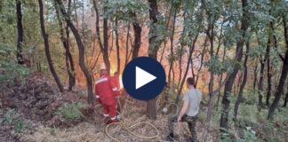 Tri shtëpi e mijëra hektarë tokë të djegura në Kraps