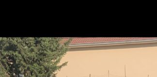 Elbasani nis stërvitjen/ Llatja takon lojtarët dhe kërkon një stadium të mbushur plot