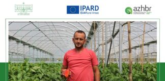 Mbështetje nga IPARD, Gentiani nga Elbasani, investon në ngritjen e mbi 6 mijë m2 serra moderne