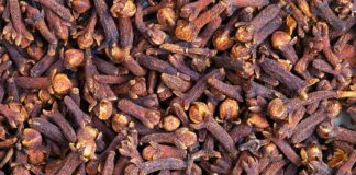 Dhjetë erëzat efikase kundër mushkonjave