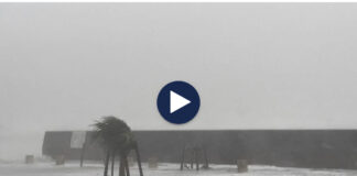 Tajfun shkatërrimtar në Japoni! Bllokohen turistët, dëmtohen rëndë linjat energjetike