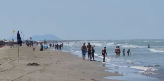 Peshku që të bën për spital! Në plazhin e Darëzezës ndodhin shpesh pickime nga peshku harabel