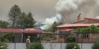 Zjarret në Greqi! Dalin jashtë kontrollit flakët në Aleksandropoli