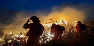 Zjarri në malin Shpirag të Beratit mori përmasa të mëdha, Peleshi: Do bëjmë të pamundurën për të ruajtur pasurinë kombëtare