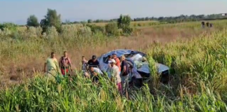 Makina përfundon në parcelën me misër/ Plagoset familja prej pesë anëtarësh, mjeti shtypet si copë kartoni