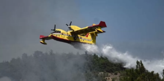 Zjarret në Greqi, 79 persona të arrestuar për zjarrvënie