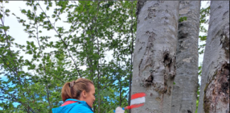 Shebenik-Jabllanicë, markim shtegut që të çon në majën e Librazhdit