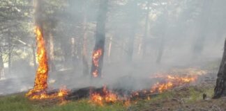 Rama apel prokurorëve dhe gjyqtarëve: Zbatoni rreptësisht ligjin në rastet e zjarrvënies