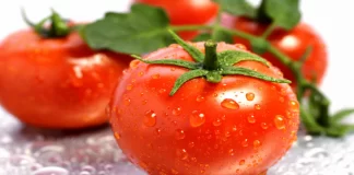 Si të dalloni domatet organike nga OMGJ-të? Faktet që duhet t’i dini